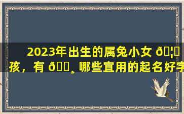 2023年出生的属兔小女 🦆 孩，有 🌸 哪些宜用的起名好字